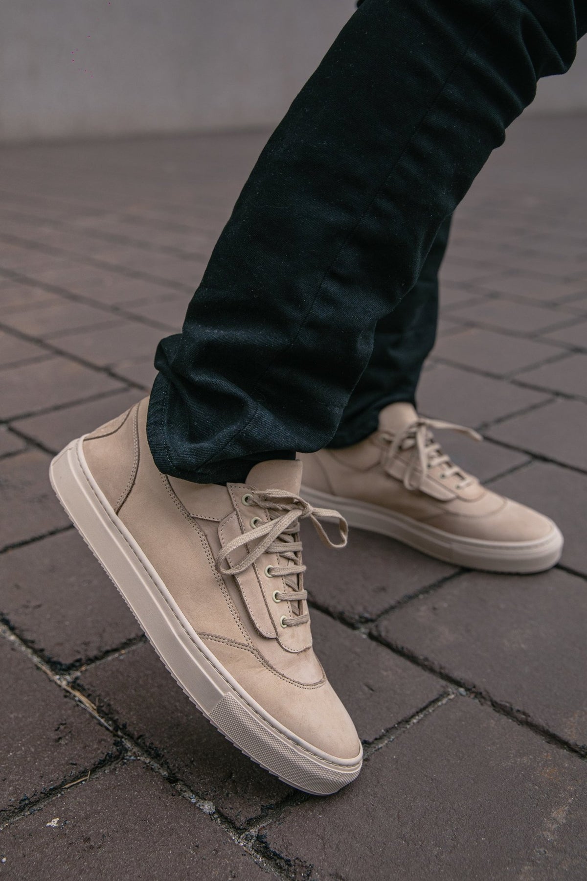 Bold Desert - Fini Brand