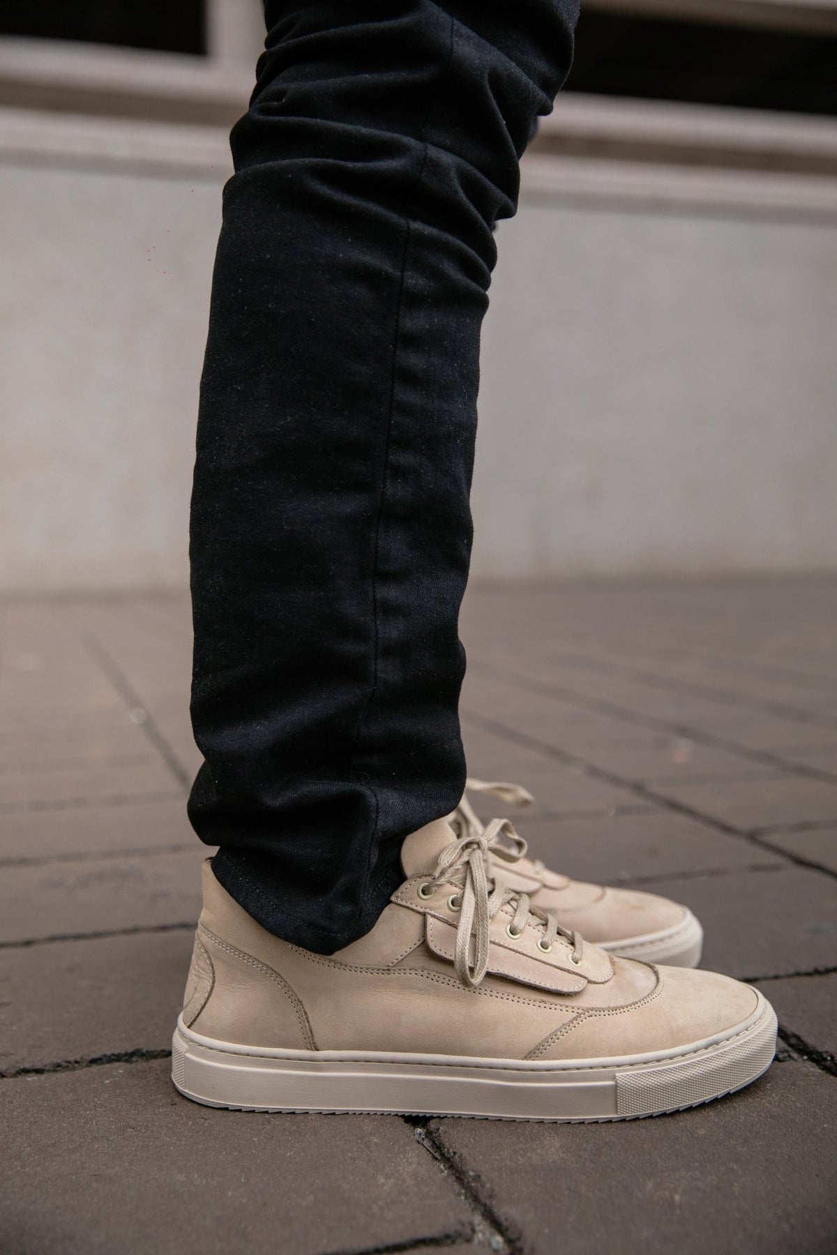 Bold Desert - Fini Brand